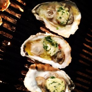 oyster2