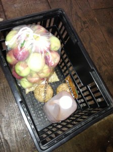 Caramel apples didn't survive the drive back to the city...